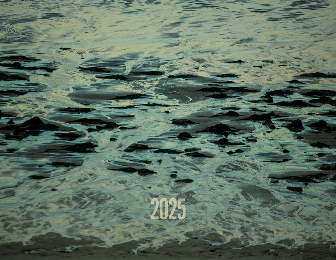 cover of the 2025 Baja Tide Calendar